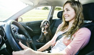 车险过期了三个月还能续交吗 车险过期了三个月能不能续保