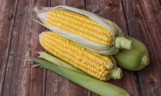 早春玉米施肥方法及时间 早春玉米如何施肥