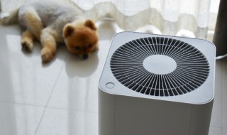 空气开关是干嘛用的 空气开关是干什么用的