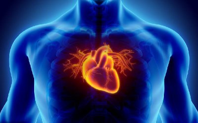 最好的睡觉姿势图片 对身体最健康的睡姿是什么样的