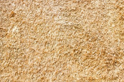 米糠可以拿来种花吗 米糠煮熟发酵能放进花盆里种花吗