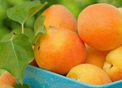 降血脂的水果有哪些 吃什么水果降血脂最快最好