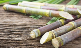 广东大年初一传统民俗活动 广东大年初一有哪些传统民俗活动呢