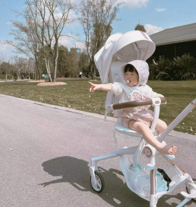 十大高端婴儿车品牌 婴儿车如何选择适合自己的品牌