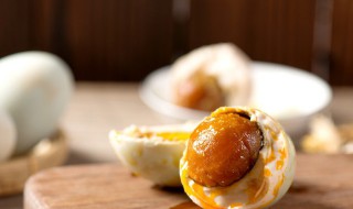 海鸭蛋是什么蛋 海鸭蛋简单介绍