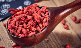 枸杞冬天怎么种植 枸杞冬天的种植技巧