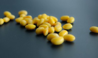 大豆泡几天能发芽 大豆需要泡几天能发芽