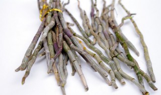 香水石斛适合什么季节种植 香水石斛几月份种植