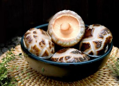 种植花菇赚钱吗 种植的前景与利润