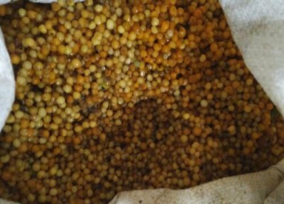 黄精是热性还是凉性 黄精属于热性还是凉性