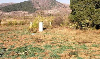 坟地放什么可以家旺 坟地放啥可以家旺