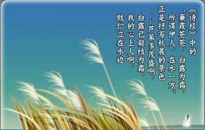 白露下雨后雨水多会影响农作物吗 白露这天下雨说法