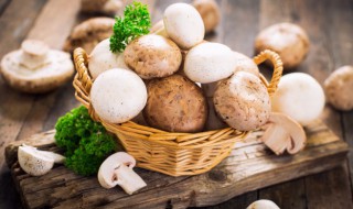 如何挑选好的菇类 怎么挑选菇类