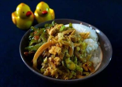 剩菜剩饭做肥料 剩菜剩饭可以做肥料吗