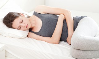 梦到乌龟什么意思 梦到乌龟是什么预兆