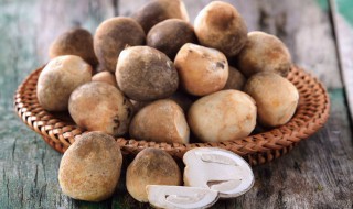 草菇最简单种植方法 草菇如何种植