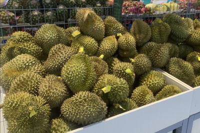 榴莲买圆的还是长的肉多 弄懂两种榴莲区别才能更好选购