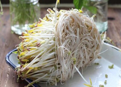 黄豆芽怎么存放时间长 新鲜黄豆芽冷藏保存方法