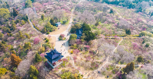 南京好玩的地方有哪些地方