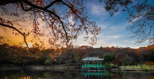 南京好玩的地方有哪些地方