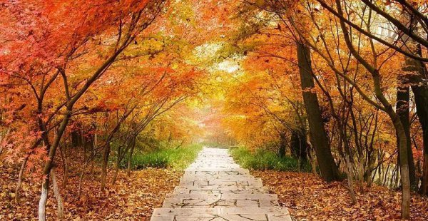 南京好玩的地方有哪些地方