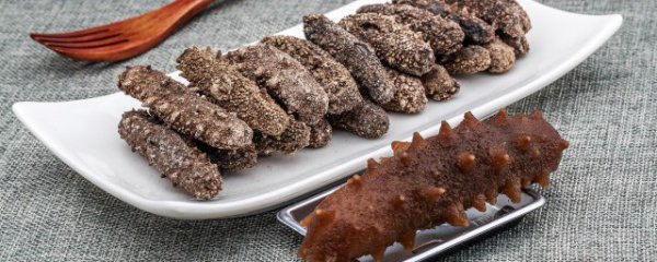 淡干海参怎么分辨好坏