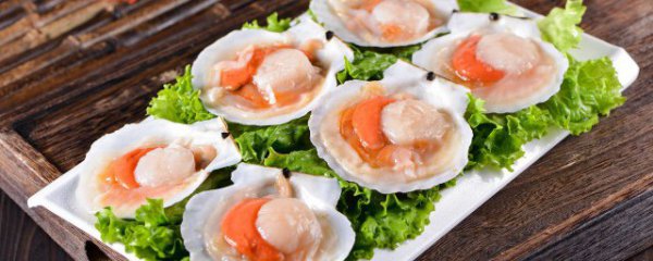 柿子和扇贝能一起吃吗