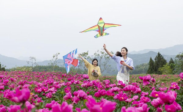 到2030年农村房子全部拆除吗