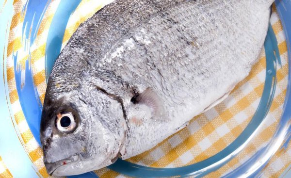 做烤鱼用什么鱼最好吃