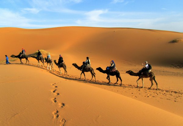 阿拉善属于哪个省份