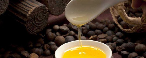 过期的山茶油有何用途