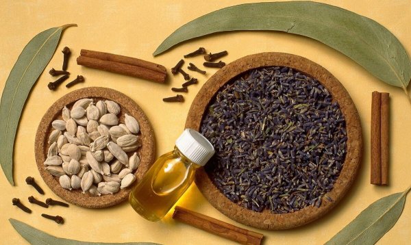 君臣佐使配伍原则是什么