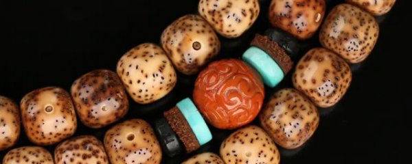 千年菩提子佩戴有什么好处