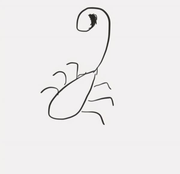 巨蟹座最讨厌什么星座