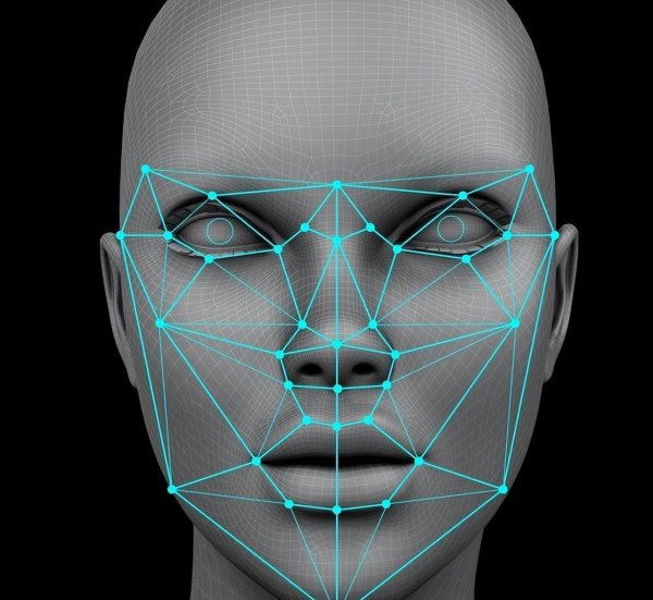 人脸识别主要识别哪里