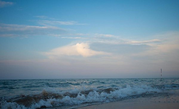 金牛座跟什么星座最配