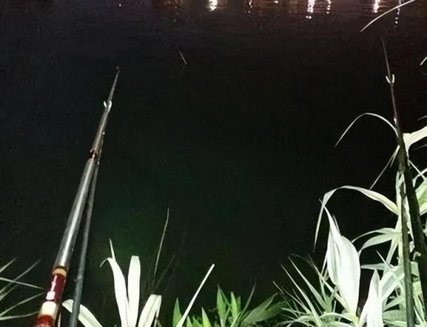 春季夜钓最佳时间是几点