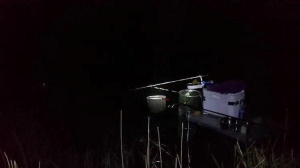 春季夜钓最佳时间是几点