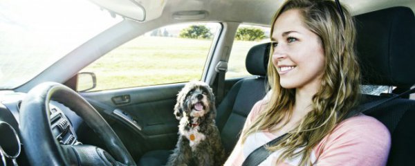 卖汽车应该注意哪些东西