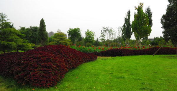 沧州有什么好玩的地方