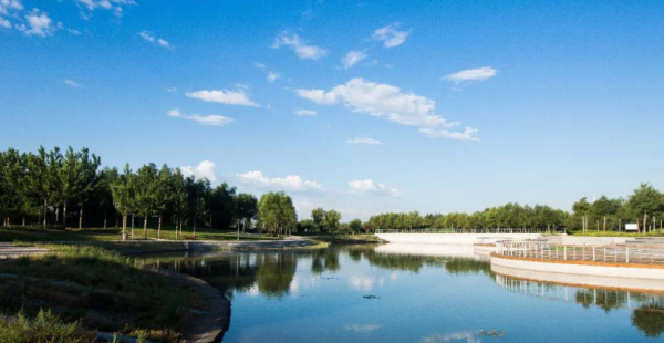 沧州有什么好玩的地方