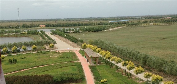 沧州有什么好玩的地方