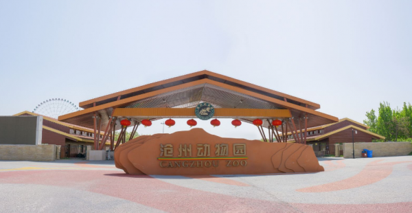 沧州有什么好玩的地方