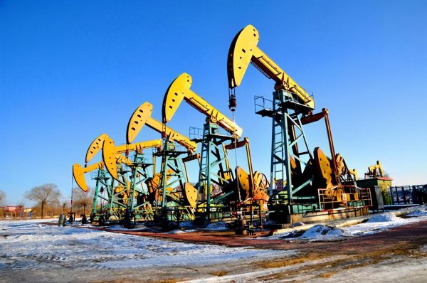 石化和石油建议用哪个