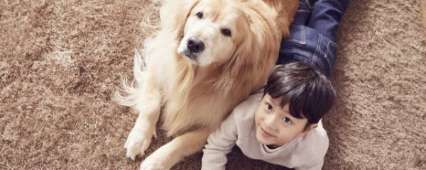 小孩养狗的好处和坏处