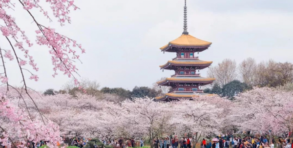 985是哪39所大学