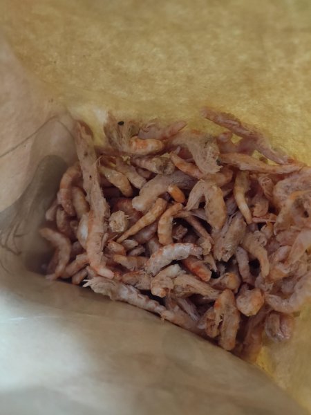 地图鱼吃什么食物比较好