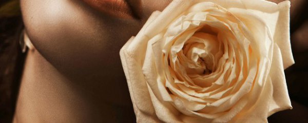 19朵玫瑰有什么寓意