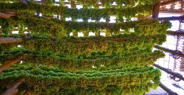 吐鲁番盆地是世界上最低的盆地吗