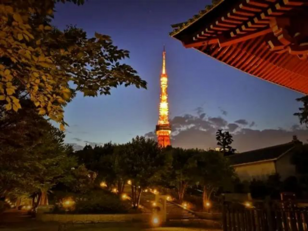 庆大是哪个大学的简称